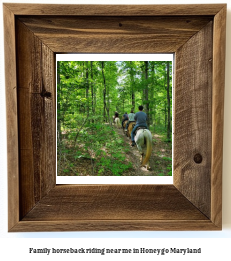 family horseback riding near me in Honeygo, Maryland